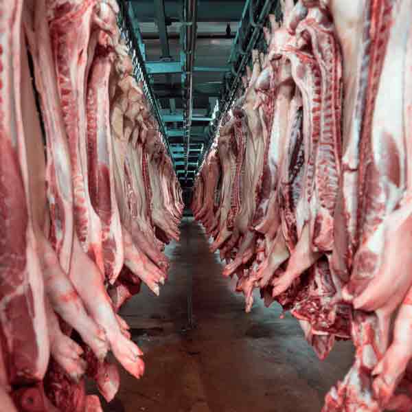 Abattoir