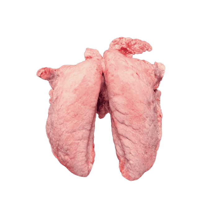 Pulmones