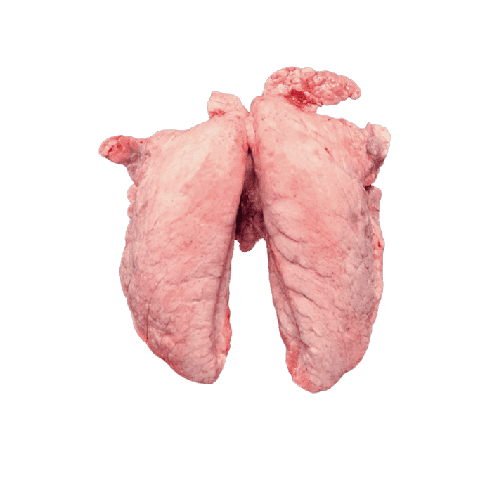 Lungs