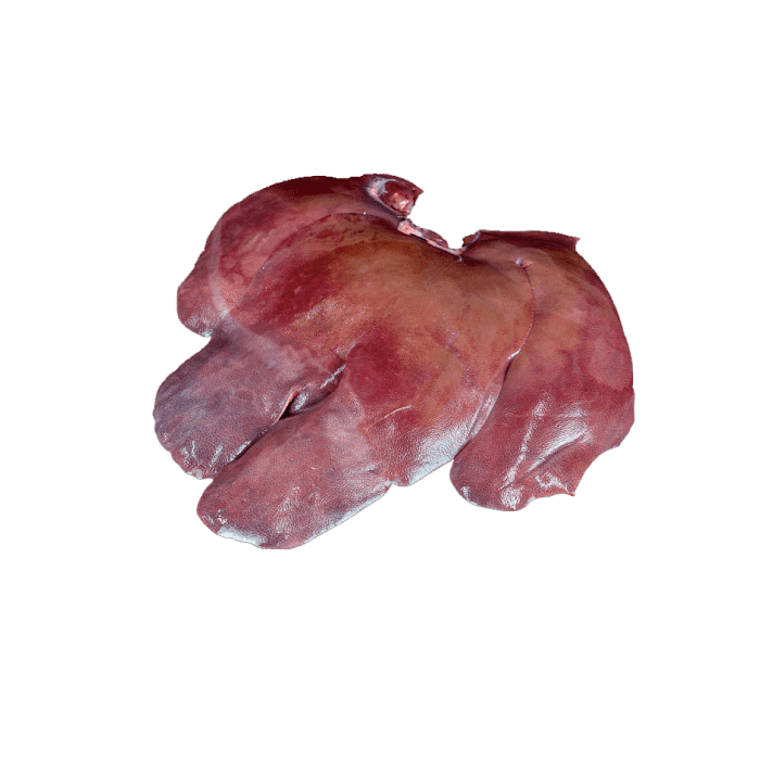 Liver